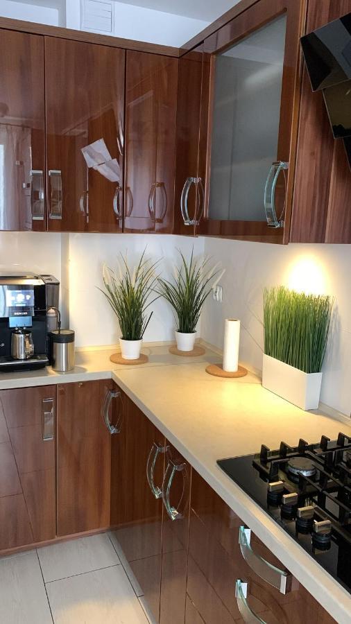 Golden Apartament Legionow Stary Toruń Εξωτερικό φωτογραφία